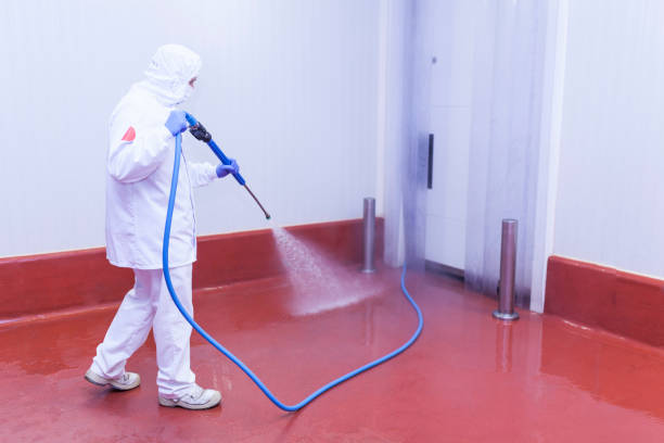 Best Restaurant Pressure Washing  in East Northport, NY