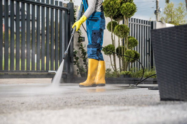 Best Patio and Deck Pressure Washing  in East Northport, NY